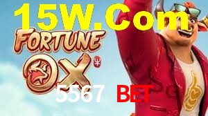 VIP Casino 5567 Bet